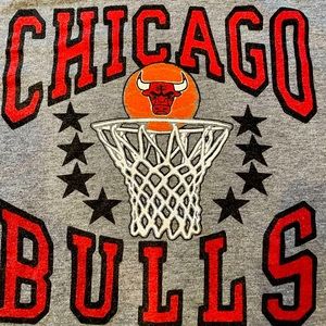 Chicago Bulls Homage Brand T-Shirt (Medium)